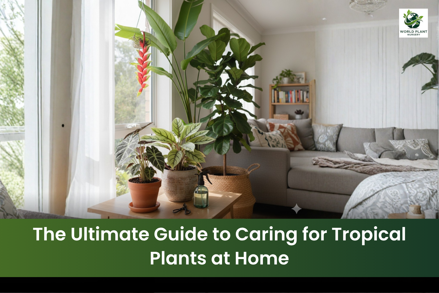 tropical indoor plants care guide at home
