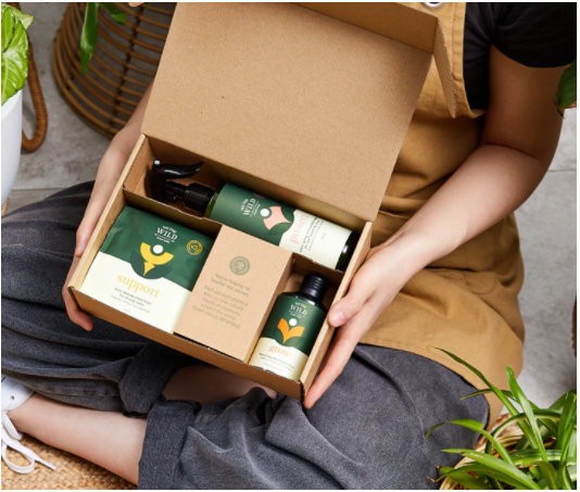 Essential Plant Care Kit