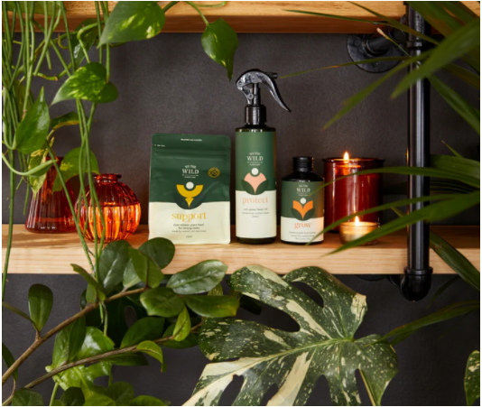 Essential Plant Care Kit