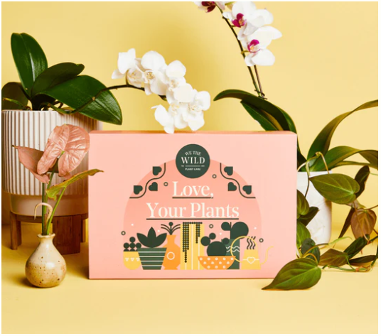 'Love, Your Plants' Care Kit