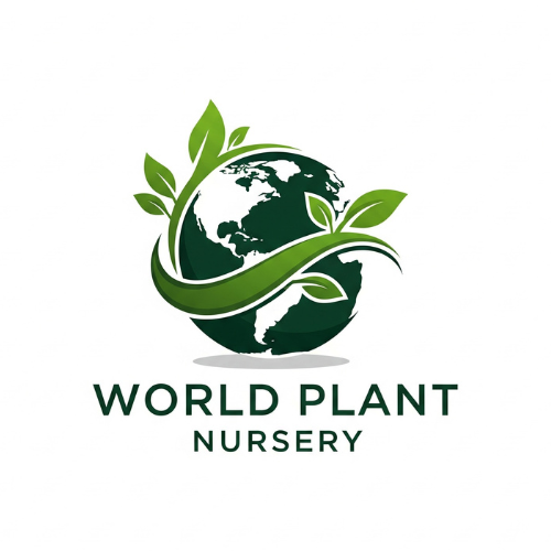 Digital Gift Cards (Large)