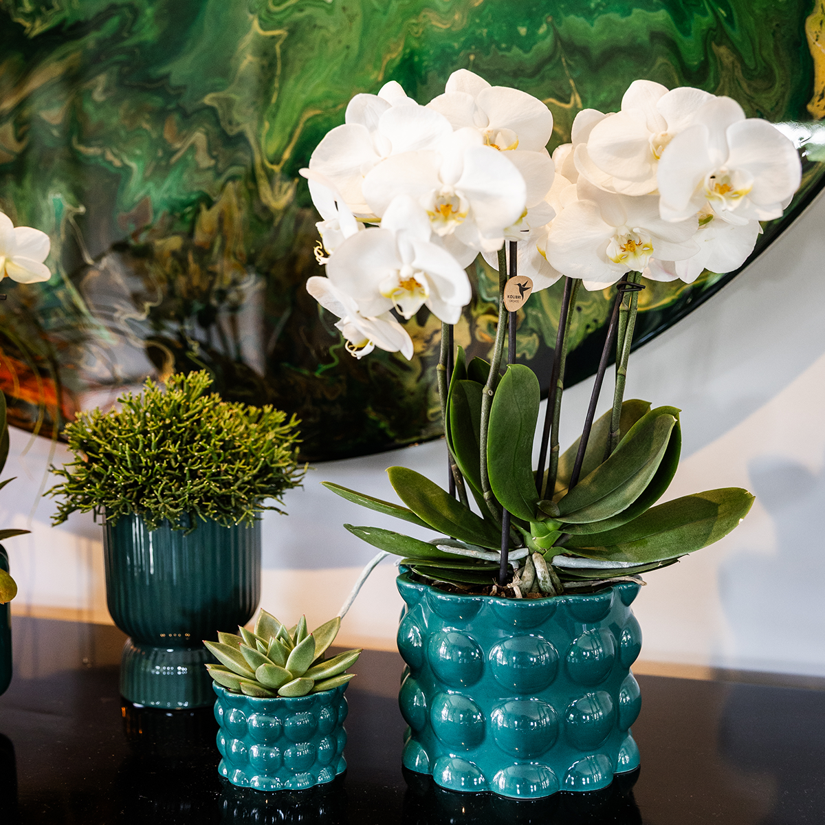 Diabolo Decorative Green Pot