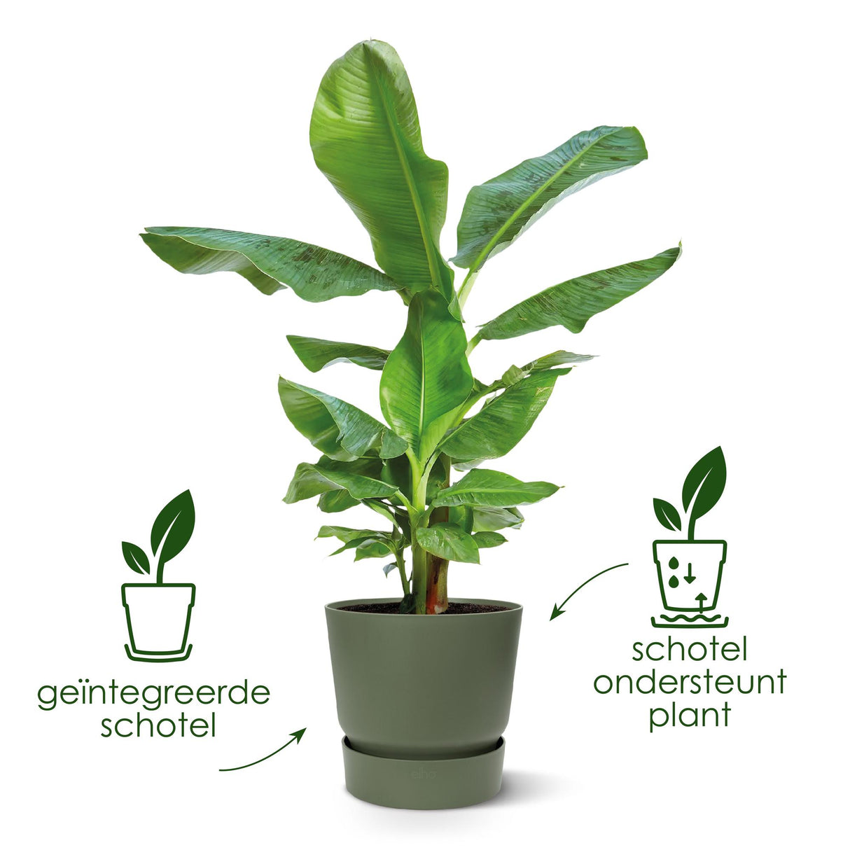 Pot elho Greenville Round green - D39 x H37