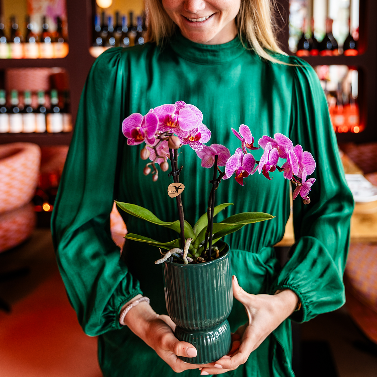 Diabolo Decorative Green Pot