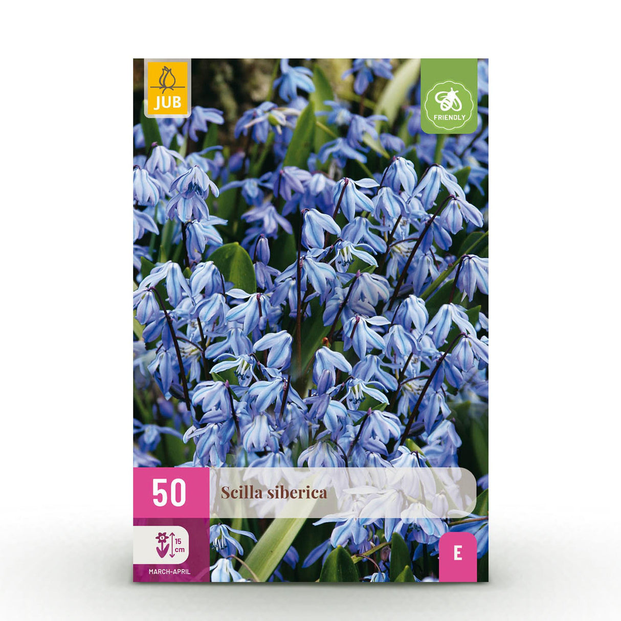 Scilla Siberica - Kleur Paars - 50 stuks - Bolmaat 7/8 - XXL Pack