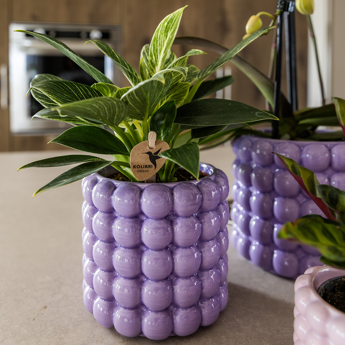 Poppy Decorative Pot - Purple - Ø9cm