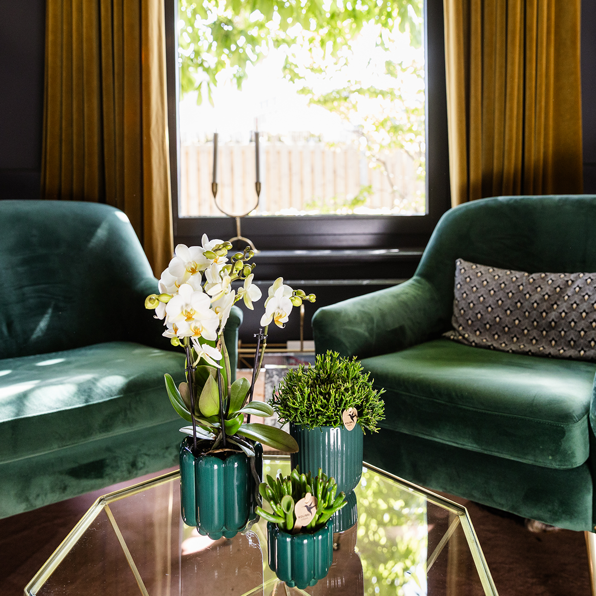 Diabolo Decorative Green Pot