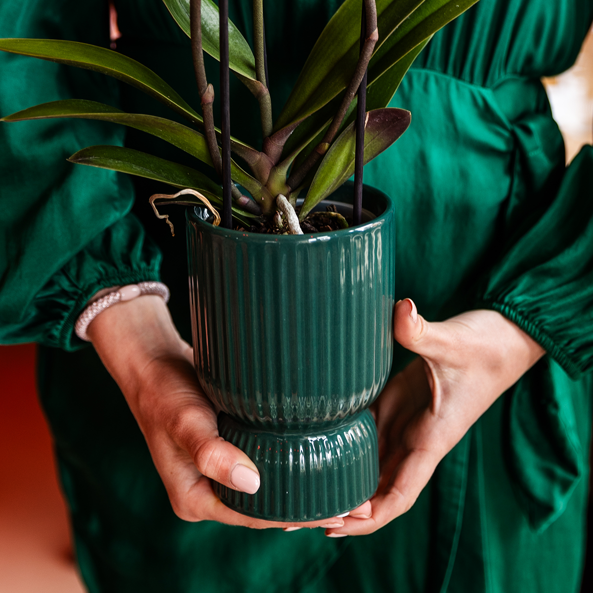 Diabolo Decorative Green Pot