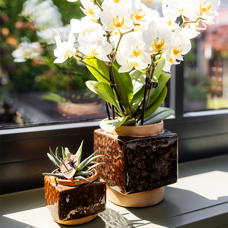 Classy Cube Decorative Pot - Ø6cm