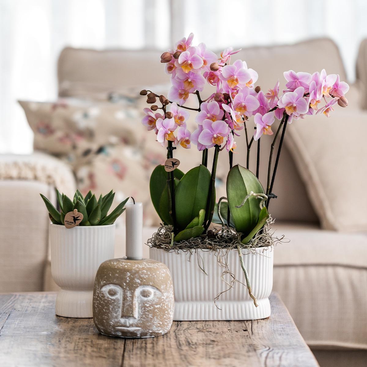 Diabolo Twin Decorative Pot - White