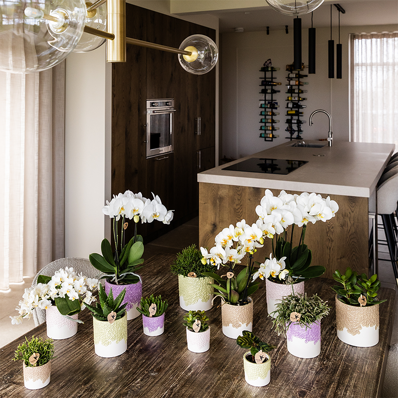 Kolibri Home | Bloom sierpot - Pink - Ø9cm