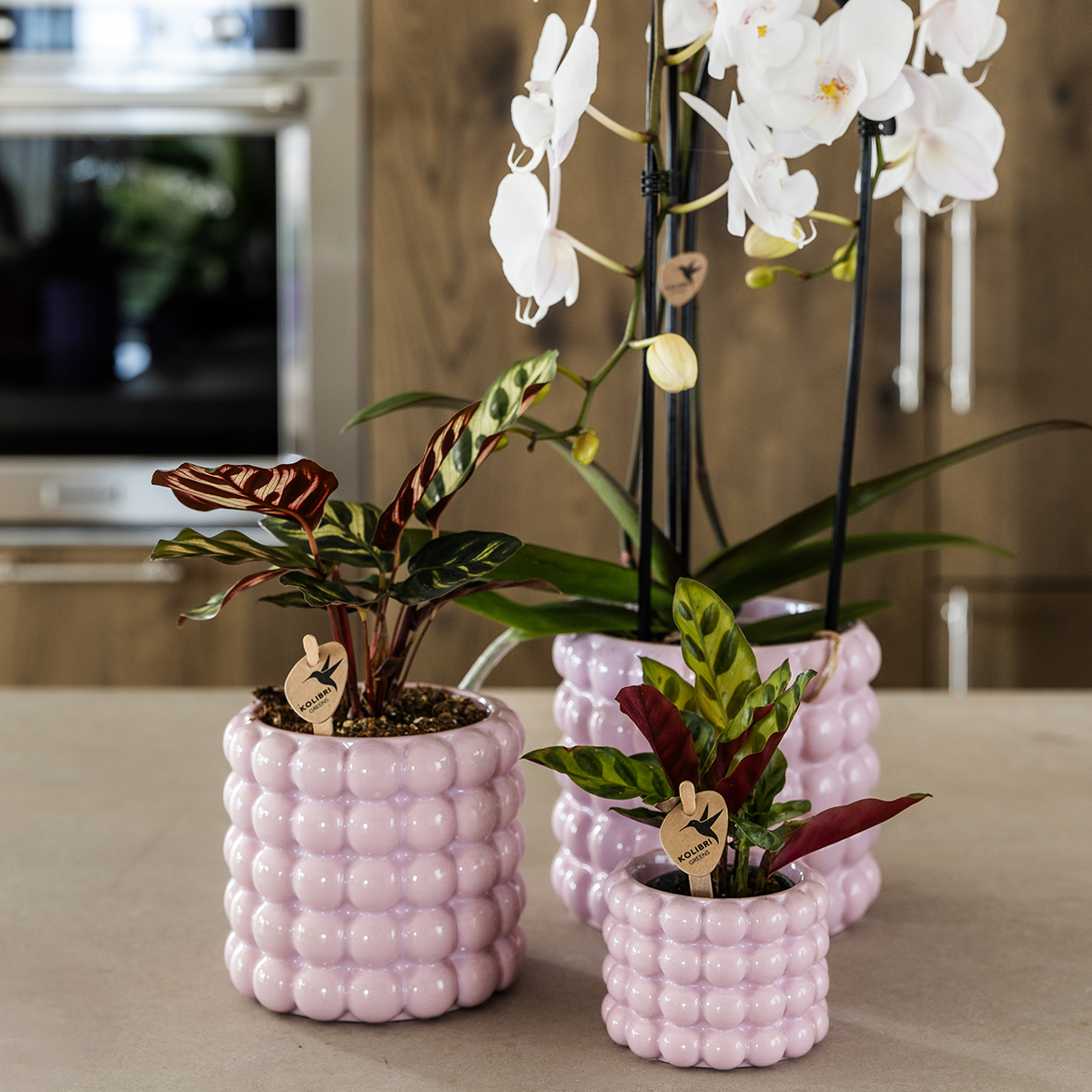 Kolibri Home | Poppy Decorative Pot - Pink - Ø9cm