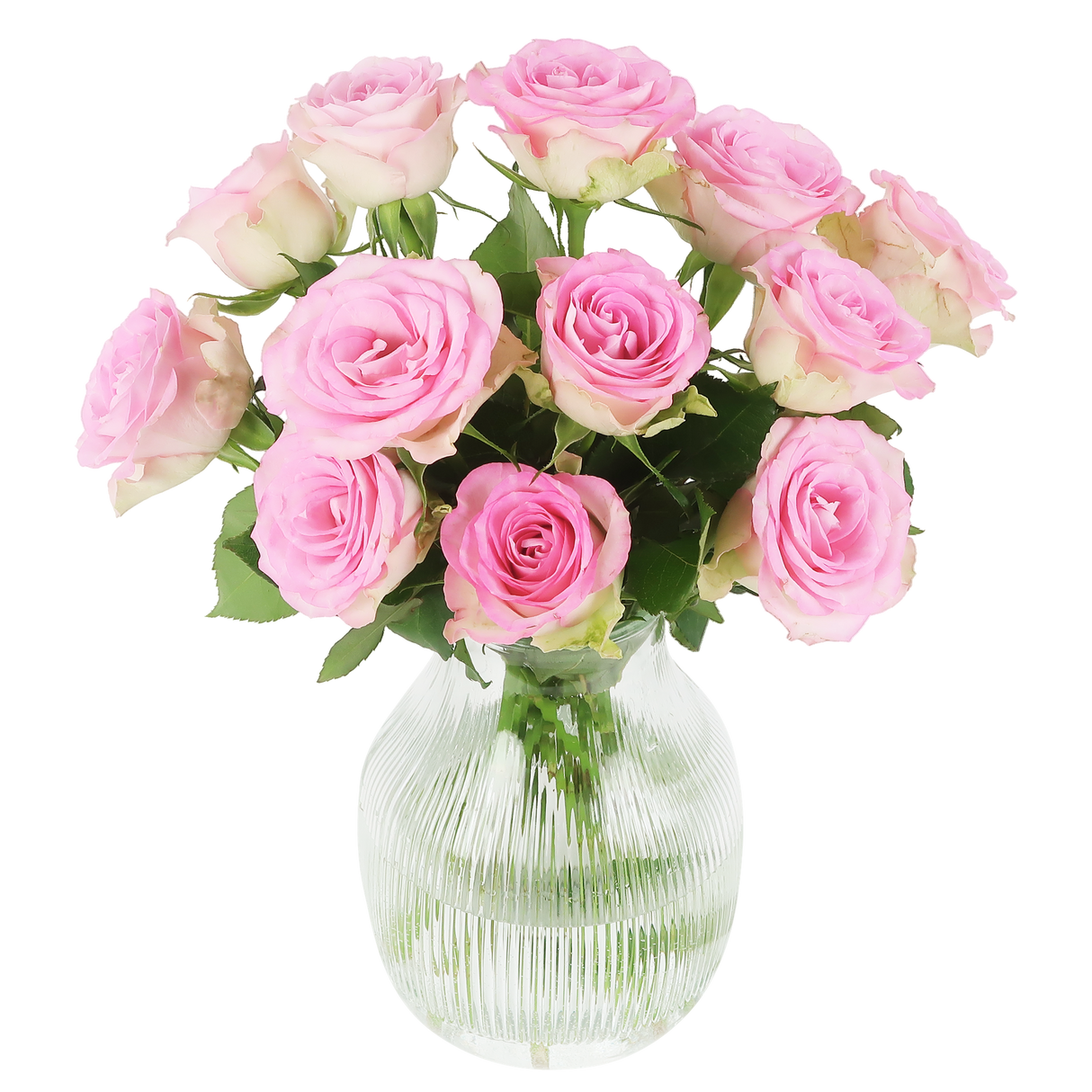 Sweet roses - pink roses in letterbox package