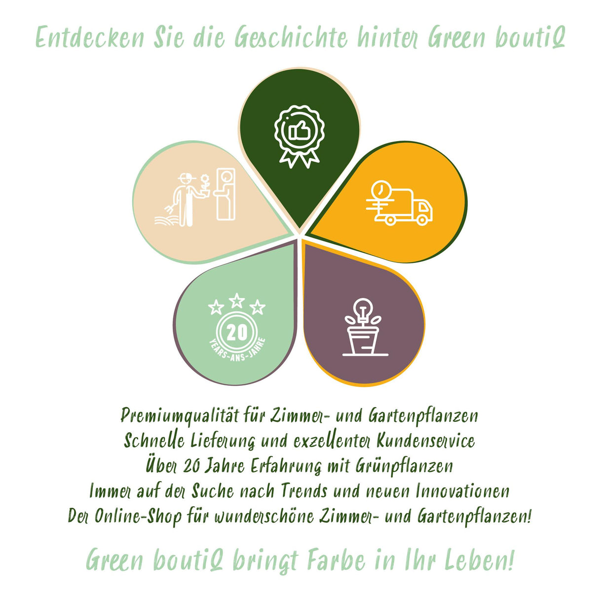 Leucojum Aestivum - Kleur Wit - 20 stuks - Bolmaat 8/9 - XXL Pack