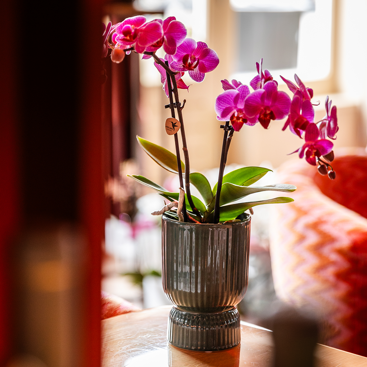 Diabolo Decorative Green Pot