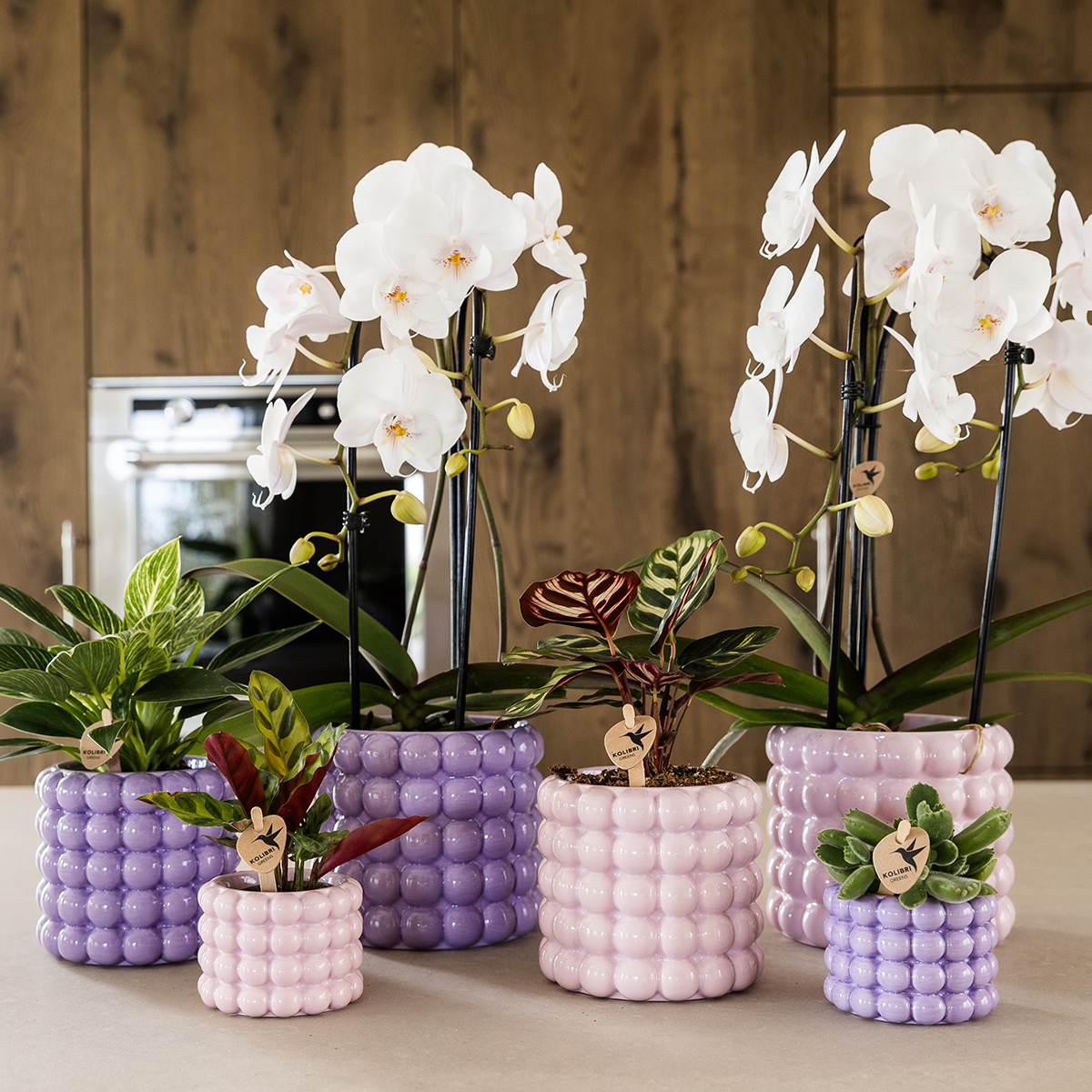 Poppy Decorative Pot - Purple - Ø6cm