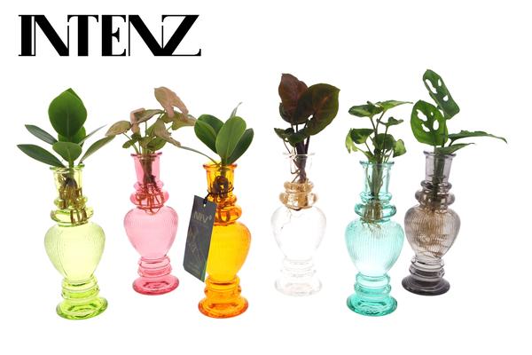 Houseplants Mix in Venice Glas - 6 pieces - Ø7cm - ↕20cm