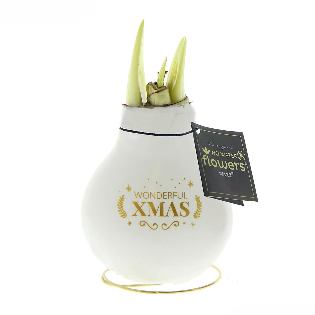 No Water Flowers - White + Red flower