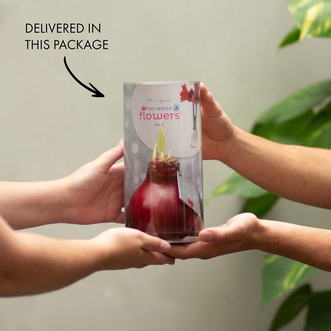 Blomster uden vand + hvide blomster (3 stk.)