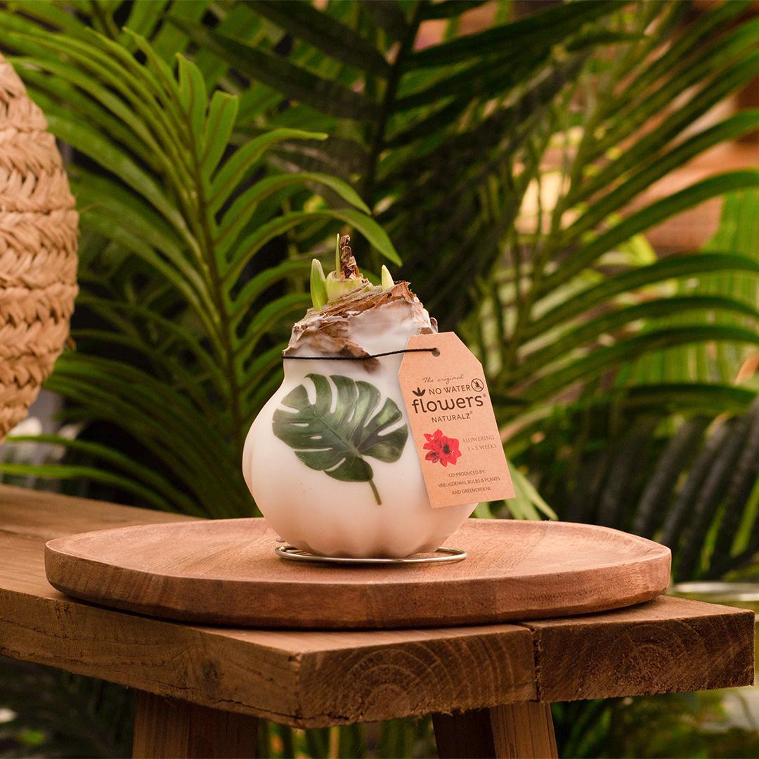 Blomster uden vand + hvide blomster (3 stk.)