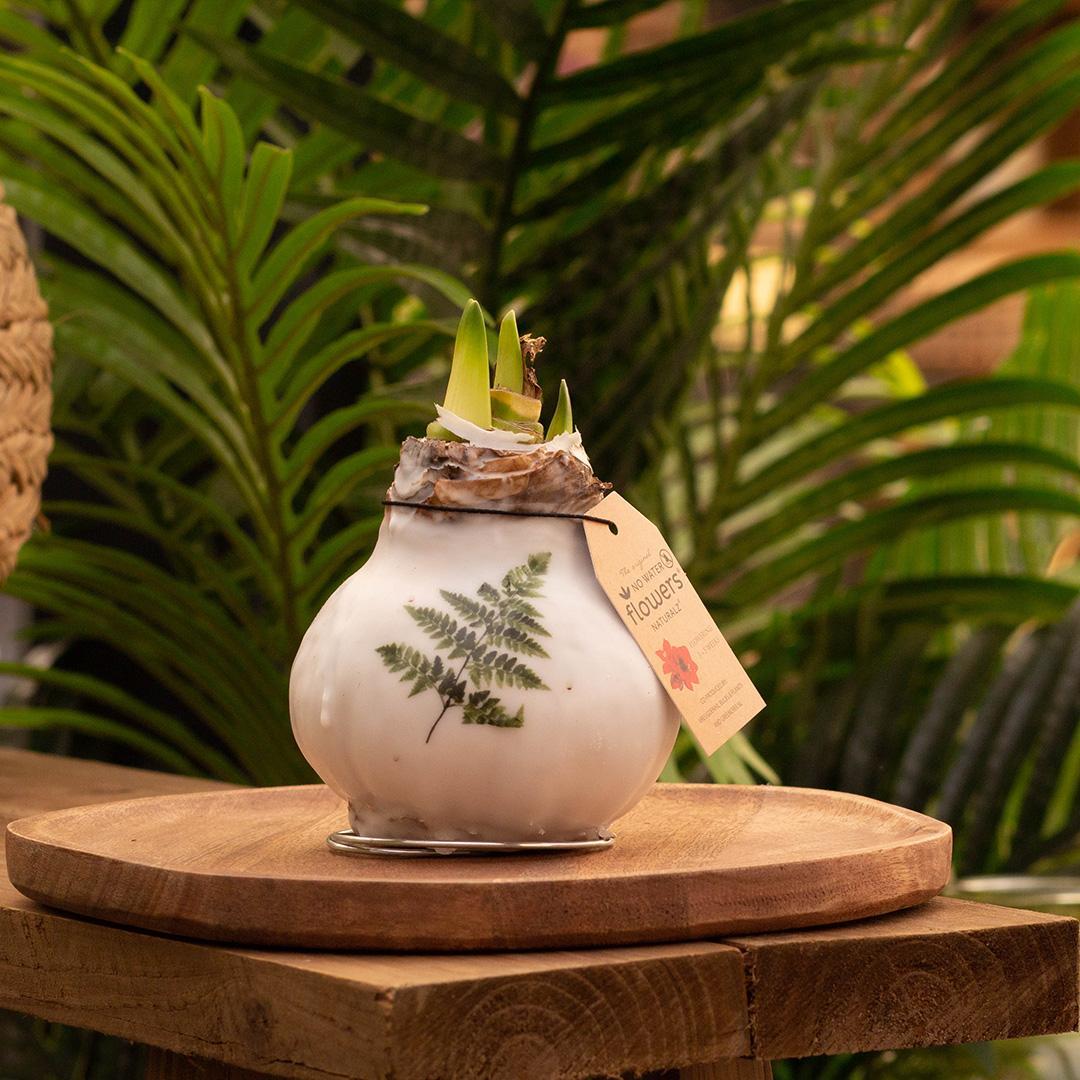 Blomster uden vand + hvide blomster (3 stk.)