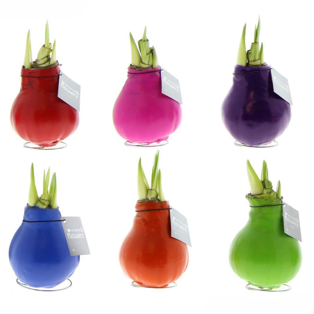 Rød blomst uden vand (6 stk.)