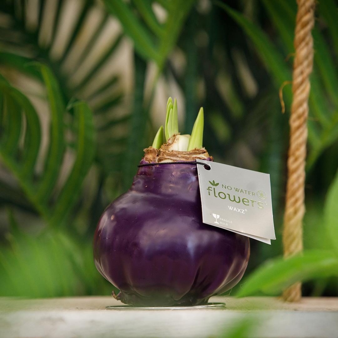 Rød blomst uden vand (6 stk.)
