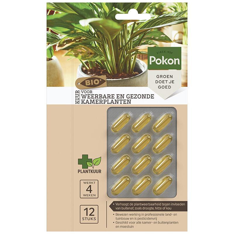 Bio Cure for resilient and healthy houseplants Capsules - 12 pieces