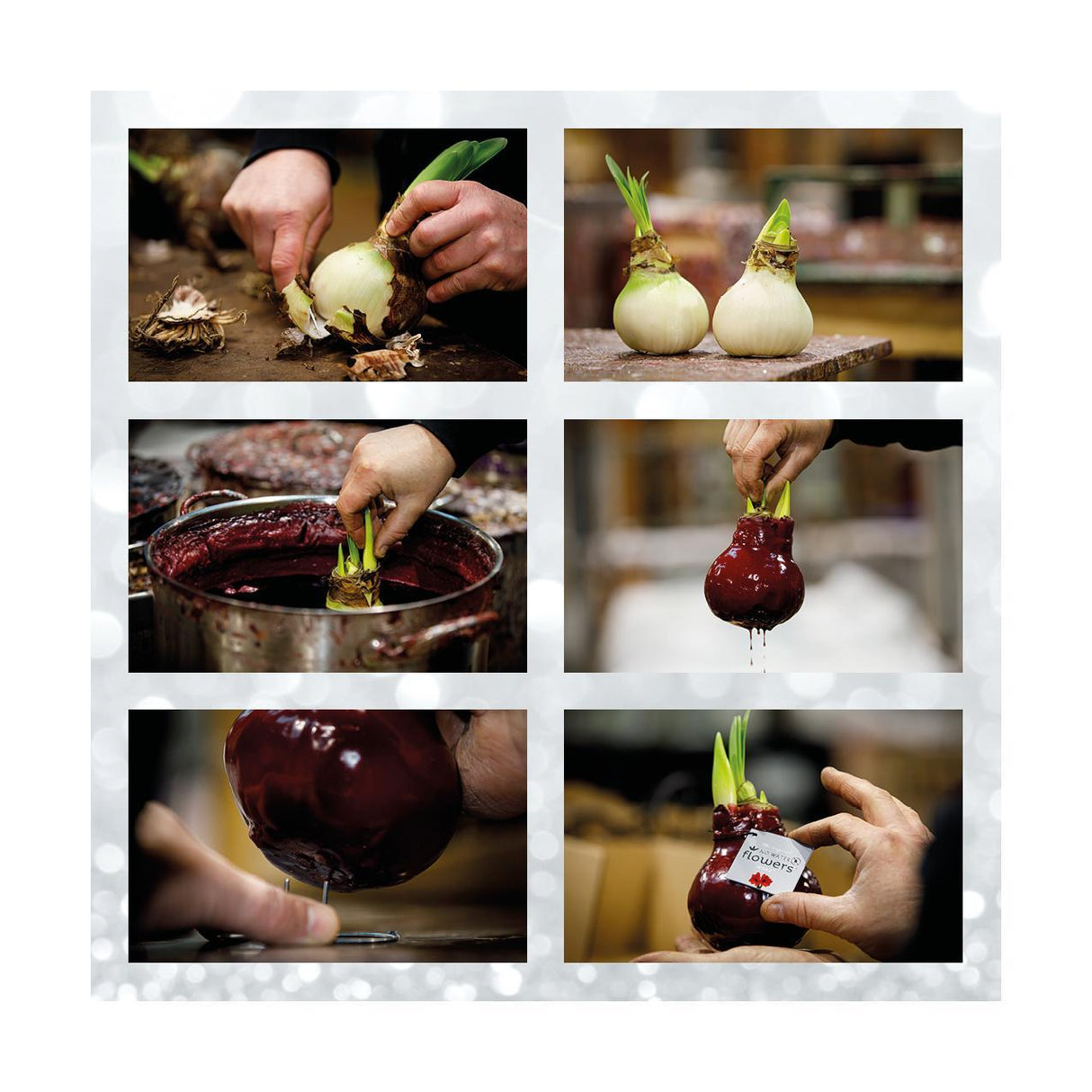 Rød blomst uden vand (6 stk.)