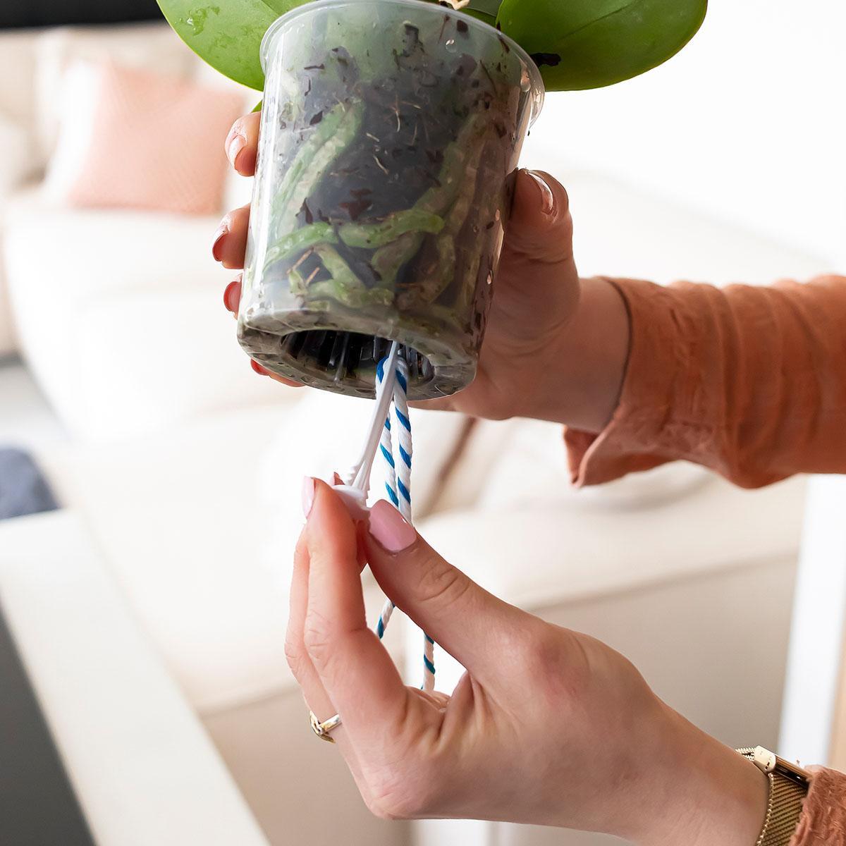 Kolibri Home | Water Wick watergeef lont (3 stuks)