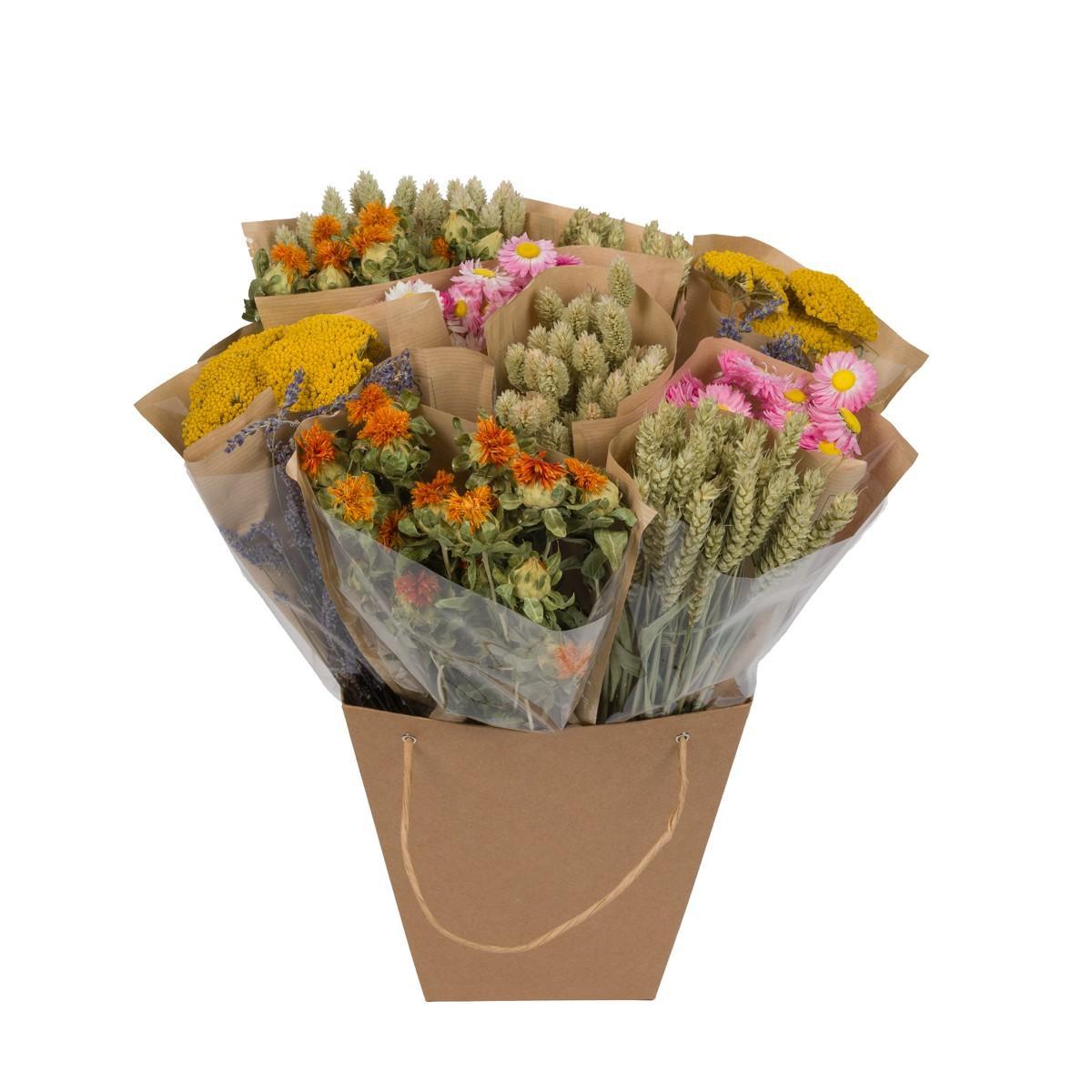 Droogbloemen - Tørret monomix - hollandsk - ↕50cm