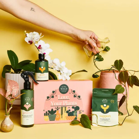 Alt text: Nurture your green companions! Explore Plant Care essentials at [Queens garden center]. Elevate your gardening journey with quality care products. Shop now! 🌱🌼 #PlantWellness
