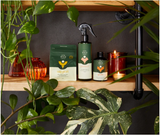 Essential Plant Care Kit