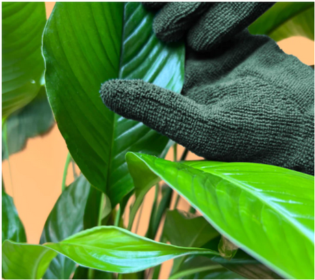 Leaf Cleaning Gloves