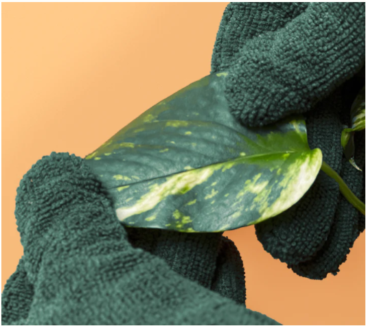 Leaf Cleaning Gloves