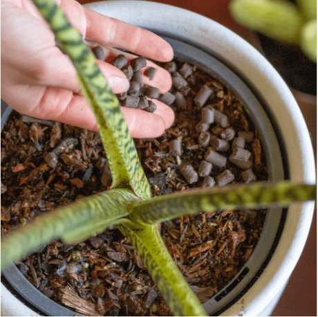 Support Slow Release Pellets