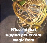 Støtter langsomt frigivende pellets