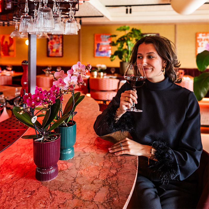 Purple Phalaenopsis Orchid Pot Size Ø9cm | Chamonix | Flowering Houseplant – Fresh from the Grower