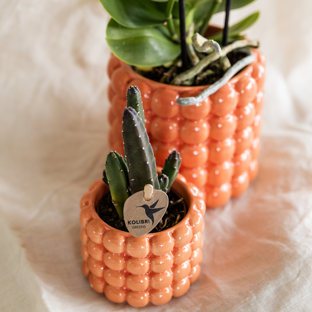 Poppy Decorative Pot - Orange - Ø6cm