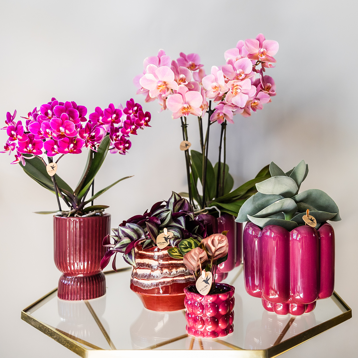 Diabolo Decorative Pot | Ø9cm - Burgundy