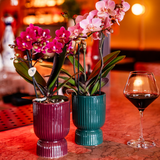 Diabolo Decorative Pot | Ø9cm - Burgundy