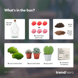 Love in a Bottle - DIY Open Planten terrarium - Ø 16 cm ↑ 30 cm