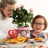 Rosa Light Pink In P&PURE "SPECIAL POUR TOI" Verpakking - Ø12cm - ↕30cm