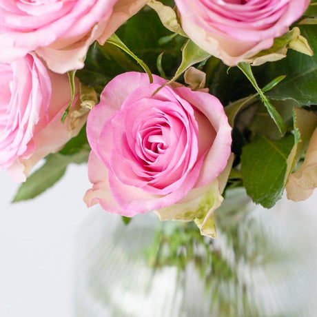 Sweet roses - pink roses in letterbox package