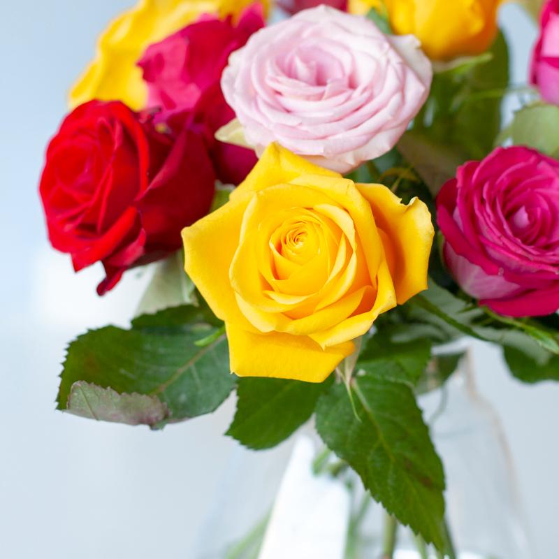 Colorful Roses - letterbox bouquet colorful