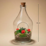 Love in a Bottle - DIY Open Planten terrarium - Ø 16 cm ↑ 30 cm