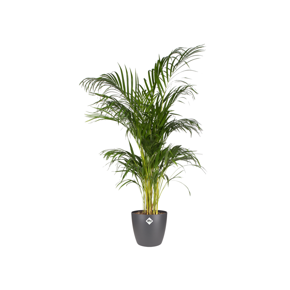 Pot elho Brussels Round Anthracite D20 x H19