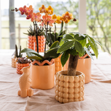 Poppy Decorative Pot - Peach - Ø9cm