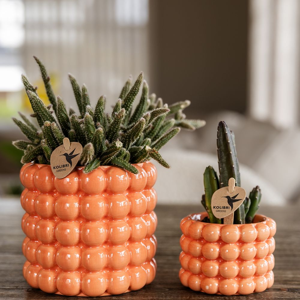 Poppy Decorative Pot - Orange - Ø9cm