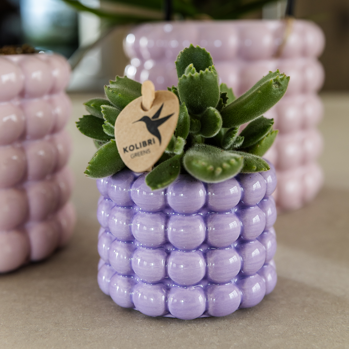 Poppy Decorative Pot - Purple - Ø6cm